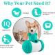 Interactive Treat Dispensing Toy for Dogs and Cats - Blue Bear