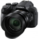 Panasonic Lumix DMC-FZ300 (12.1MP, 24x Optical Zoom) - Black