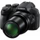 Panasonic Lumix DMC-FZ300 (12.1MP, 24x Optical Zoom) - Black